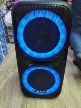 Колонка с аккумулятором ZXX/ 2x12"/ 300W/ 2 радиомикрофона/ TMG ORIGINAL