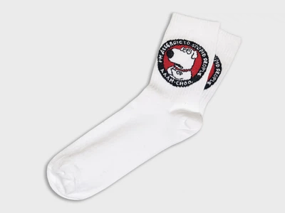 Шкарпетки Rock'n'socks Браян Гріффін, One size (37-43)