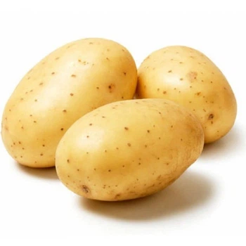 Картофель семенной (посадочный) Гала. Среднеранний, 1 репродукция 100 кг. Урожай 2022 года.