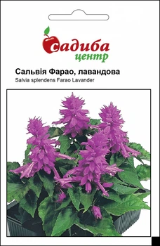 Сальвия Фарао, лавандовая, 0,1 г Садиба Центр