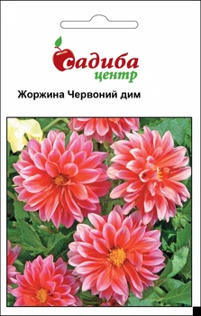 Георгин Красный Дым, 0,1 г Садиба Центр