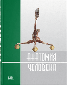 Анатомия человека. Издание 2. Черкасов В.Г., Кравчук С.Ю.