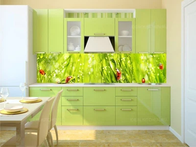 Кухонный фартук Скинали Божьи коровки 60х250 см (102)