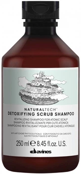 Szampon do włosów Davines Naturaltech Detoxifying oczyszczający 250 ml (8004608256533)