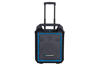 Акустическая система Blaupunkt MB10