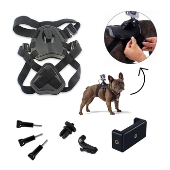 Аксессуар к экшн-камерам AirOn kit mounts AIRON ACS-3 dog (69477915500012)