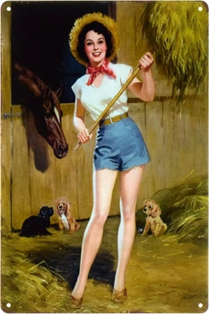 Металлическая табличка "Ферма (Pin Up)" (ms-103524)