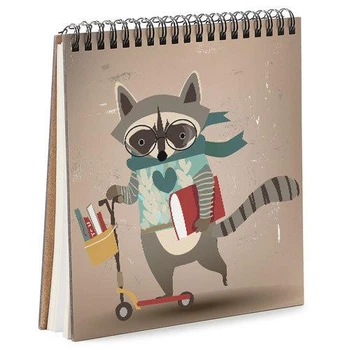 Блокнот Sketchbook Енот на самокате квадратный 16,7х18 см (BDK_FFL004)