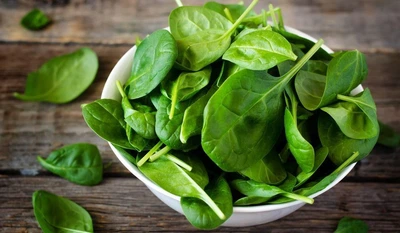 Насіння шпинату Rijk Zwaan Боа F1 200 насінин