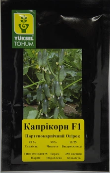 Капрікорн F1 Огірок Самозапильний Насіння Yuksel Seeds 250 шт
