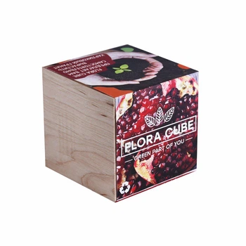 Живой куб Flora Cube «Карликовый гранат» (25732)