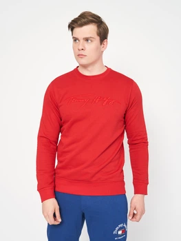 Світшот чоловічий Tommy Jeans 10862.4 S Червоний