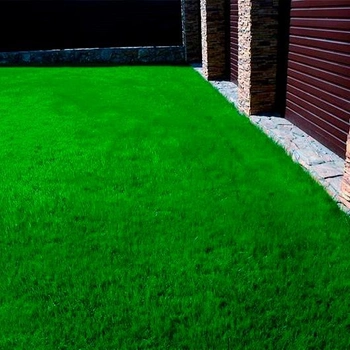Семена Green Home газонная трава Лилипут 1 кг