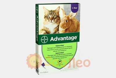 Капли от блох и клещей Advantage для кошек и декоративных кролей весом более 4 кг (4 пипетки)