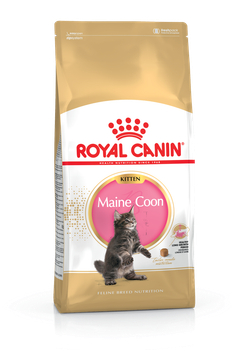 Сухий корм для кошенят Royal Canin MAINECOON KITTEN 2 кг