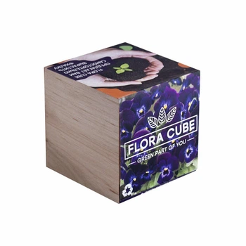 Подарочный набор для выращивания растений FLORA CUBE "Фиалка"