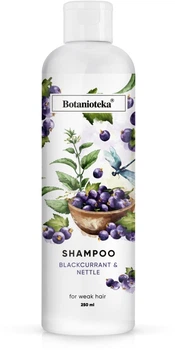 Шампунь для ослабленных волос "Черная смородина и крапива" - Botanioteka Shampoo For Weak Hair 250ml (822109-30576)