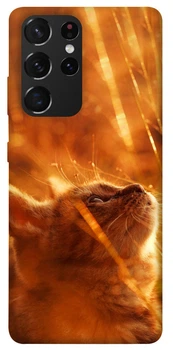 TPU чохол Demsky Magic cat для Samsung Galaxy S21 Ultra