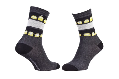 Шкарпетки Minions Stripes On Shaft Minion 1-pack 36-41 dark gray 13890131-8
