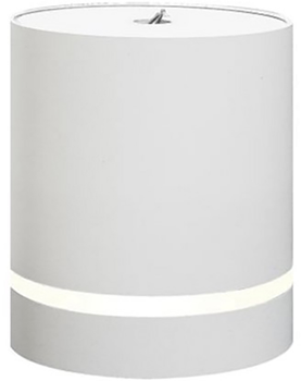 Светодиодный светильник точечный Maxus Surface Downlight 12W 4100K White
