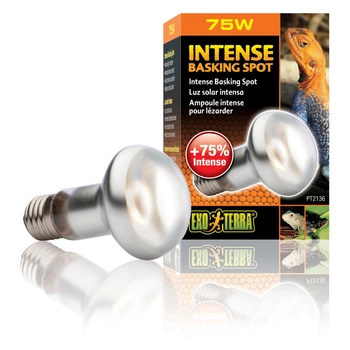 Рефлекторна лампа розжарювання Exo Terra «Intense Basking Spot» 75 W, E27 (для обігріву)