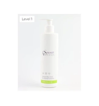 Smart4Derma Минеральный себорегулирующий тонер. MINERAL BHA-TONER DE-BLEMISH SOLUTION 250мл
