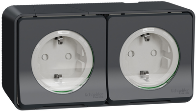 Блок подвійний Schneider Electric MUREVA S зовнішнього монтажу з заземленим контактом та шторками Чорний (MUR36029)