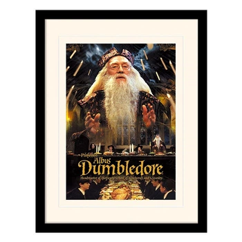 Постер в раме "Harry Potter (Dumbledore)" 30 x 40 см 4009826