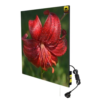 Керамический обогреватель AFRICA X1200 с двойной эко-конвекцией и программатором, с рисунком (flowers-015)