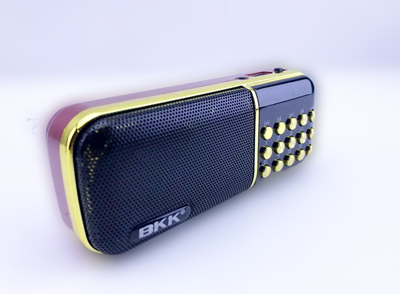 Радио ФМ/МP3 плеер B851SS. 2 аккумулятора 18650, SD/USB/LED лампа