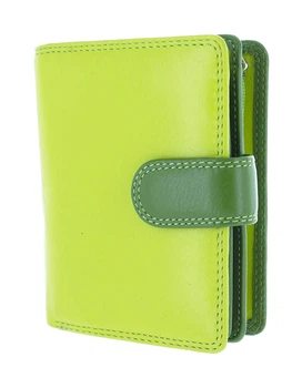 Кошелек женский кожаный Visconti RB40 - Bali (lime multi)