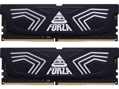 Оперативная память Neo Forza FAYE DDR4 3200MHz 32GB (2x16GB) CL16 (NMUD416E82-3200DG20)