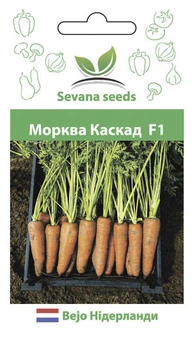 Семена моркови Каскад F1 400 семян Bejo