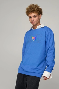 Світшот чоловічий OVERSIZE /no flis/ M Блакитний (BSMRB30032)