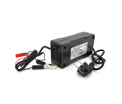 Зарядний пристрій Merlion для акумуляторів LiFePO4 24V(29,2V),8S,5A-120W.крокодили, BOX