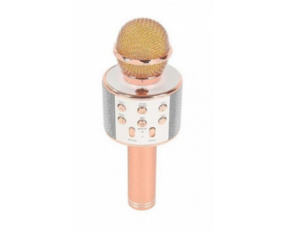 Микрофон Караоке WS858
