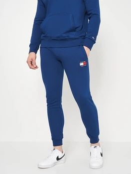 Спортивні штани чоловічі Tommy Hilfiger 10963.4 S Електрик
