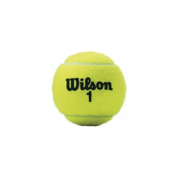 Мяч для большого тенниса WILSON CHAMPIONSHIP WRT110000 4шт салатовый