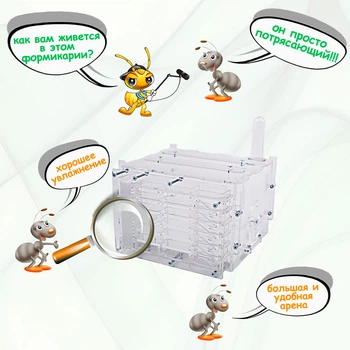Муравьиная вертикальная ферма ANTKingdom Кристалл mini 16х11х16 см / Формикарий
