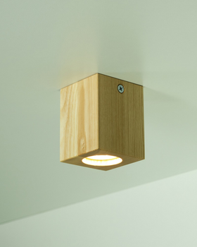 Потолочный светильник Iterna CEILING Светлый (LW008)