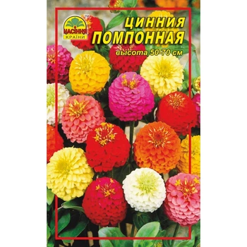 Семена Цинния помпонная 0,5 г (Насіння країни)