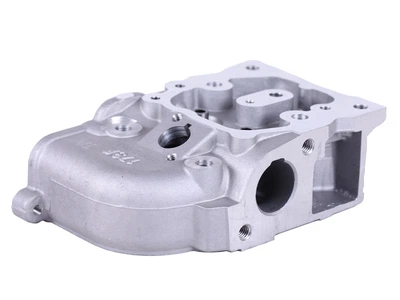 Головка блока голая TT AGRO MOTO - 173D