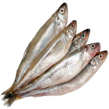 Корюшка аргентинська св/морож, 22см+, 1кг