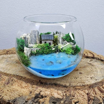 Флорариум Mini Наедине 11х10 см (3772)