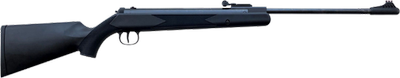 Пневматична гвинтівка Air Rifle Borner XS25S cal.4,5 mm, 25J synthetic stock