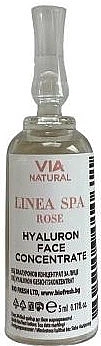 Гіалуроновий концентрат для обличчя — BioFresh Linea Spa Rose Hyaluron Face Concentrate 5ml (1092984-73738)