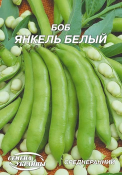 Семена Боб Янкель белый 20г Семена Украины