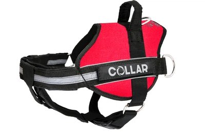 Нейлонова шлея для собак Collar DogExtremе Police N4 з ліхтариком зі змінним написом 75-100 см Червона (07073)