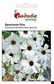 Семена брахикомы Белая 0,1 г, Садиба