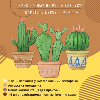 Курс - Чому не росте кактус?